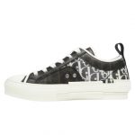 DIOR B23 LOW «White Brown»