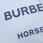 CAMISETA BURBERRY "Blue" 37 - Image 5