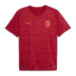 CAMISETA VALENCIA CF VISITANTE 25/26