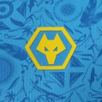 CAMISETA WOLVERHAMPTON WANDERERS TERCERA 25/26 - Image 3